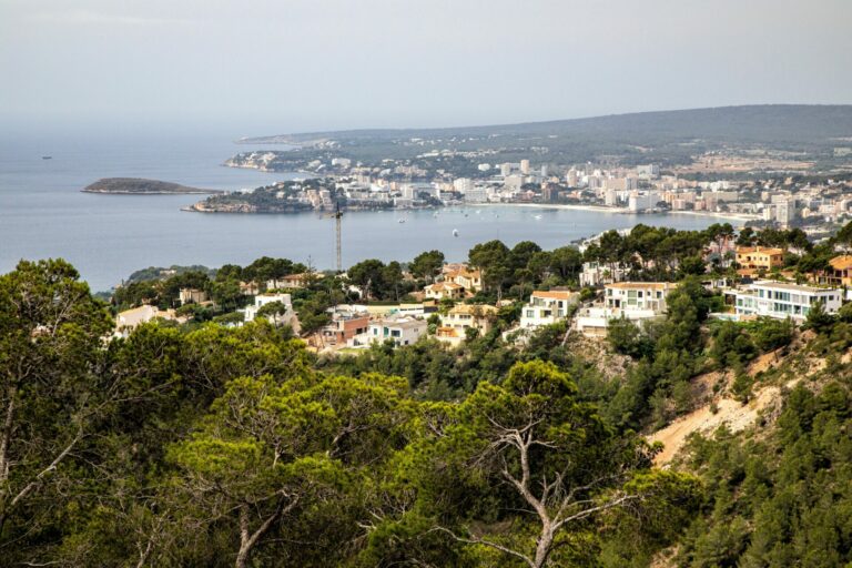Blick über Costa d'en Blanes